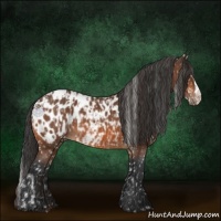 Horse Color:Bay Near Leopard  and Bay Near Leopard 