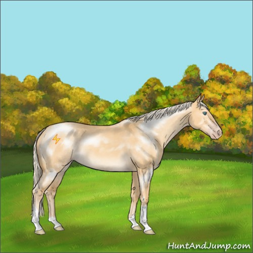 Horse Color:Gold Cream Champagne Dun Mushroom 