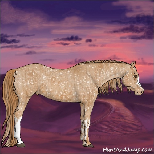 Horse Color:Chestnut Snowflake Varnish  and Chestnut Snowflake Varnish 