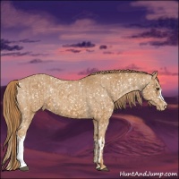 Horse Color:Chestnut Snowflake Varnish  and Chestnut Snowflake Varnish 
