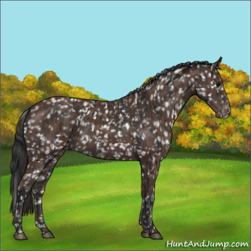 Horse Color:Platinum Brown Snowflake Varnish and Bay Snowflake Varnish