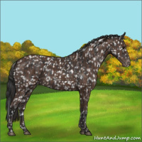 Horse Color:Platinum Brown Snowflake Varnish  and Bay Snowflake Varnish 