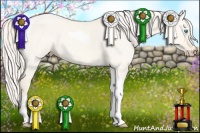 Horse Color:Cremello Dun Tobiano 
