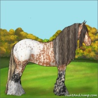 Horse Color:Buckskin Pearl Appaloosa  and Bay Appaloosa 