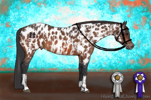 Horse Color:Bay Near Leopard and Brown Near Leopard