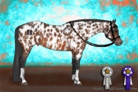 Horse Color:Bay Near Leopard  and Brown Near Leopard 