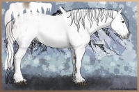 Horse Color:Gray Chestnut Blanket and Gray Chestnut Blanket