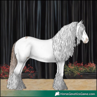 Horse Color:Chestnut Appaloosa  and Chestnut Appaloosa 