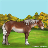 Horse Color:Silver Brown 