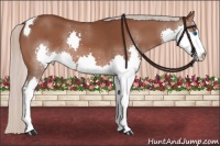 Horse Color:Silver Brown Splash Tobiano 