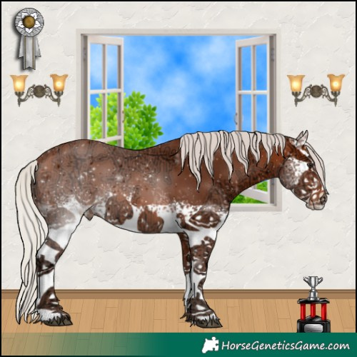 Horse Color:White Spotted Silver Bay Ice Tobiano Rabicano 