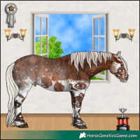 Horse Color:White Spotted Silver Bay Ice Tobiano Rabicano 