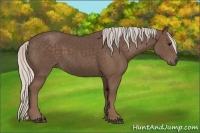 Horse Color:Silver Black 