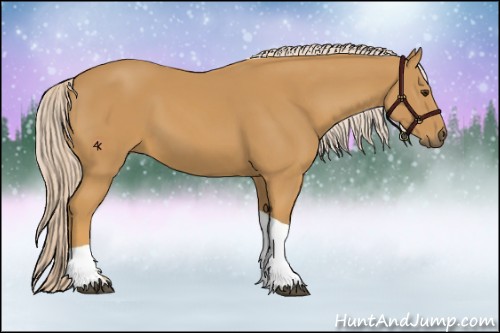 Horse Color:Palomino Tobiano 
