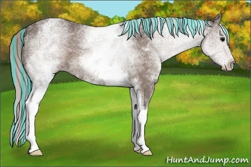 Horse Color:Painted White Spotted Silver Black 