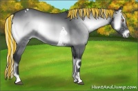 Horse Color:Painted Silver Blue Onyx Chinchilla Tobiano Rabicano 