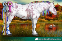Horse Color:Painted Watercolor Bay Appaloosa  and Painted Watercolor White Spotted Buckskin Sabino Splash Appaloosa 