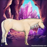 Horse Color:Silver Buckskin Pearl Rabicano 