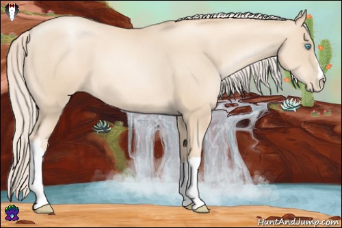 Horse Color:Gold Cream Champagne Pearl