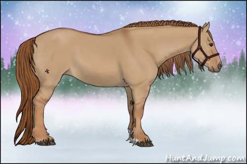 Horse Color:Red Dun
