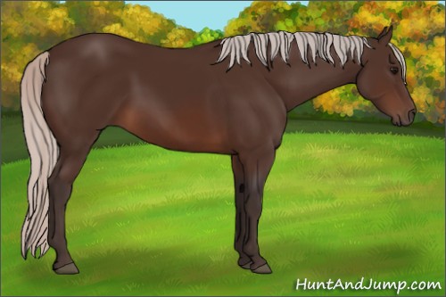 Horse Color:Silver Brown 