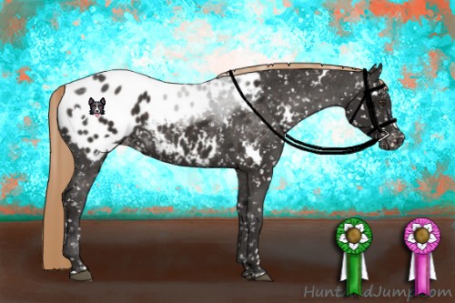 Horse Color:White Spotted Liver Chestnut Blanket 