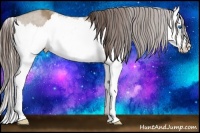 Horse Color:Liver Red Dun Splash