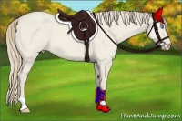 Horse Color:Smoky Creme Roan Dun 