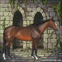 Horse Color:Brown Sabino 