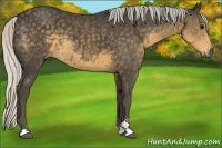 Horse Color:Silver Smoky Black Sabino 