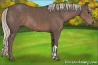 Horse Color:Silver Black 