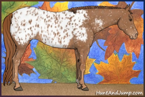 Horse Color:Chestnut Near Leopard and Chestnut Near Leopard