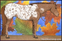 Horse Color:Chestnut Near Leopard  and Chestnut Near Leopard 