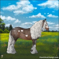 Horse Color:White Spotted Liver Chestnut Mushroom Tobiano 