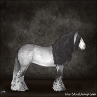 Horse Color:White Spotted Buckskin Chinchilla Roan
