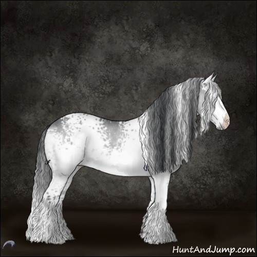 Horse Color:White Spotted Brown Chinchilla Dun