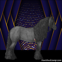 Horse Color:Blue Roan 