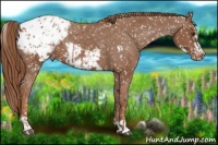 Horse Color:Chestnut Blanket and Chestnut Frame Blanket