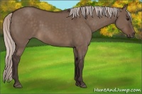 Horse Color:Silver Brown Dun 