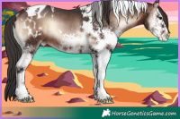 Horse Color:White Spotted Brown Onyx Tobiano Blanket Rabicano