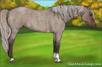 Horse Color:Silver Brown Roan Dun Tobiano