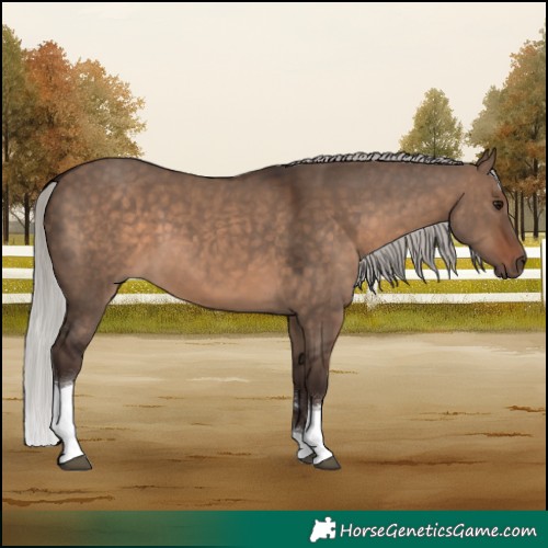 Horse Color:Silver Brown Dun Tobiano 