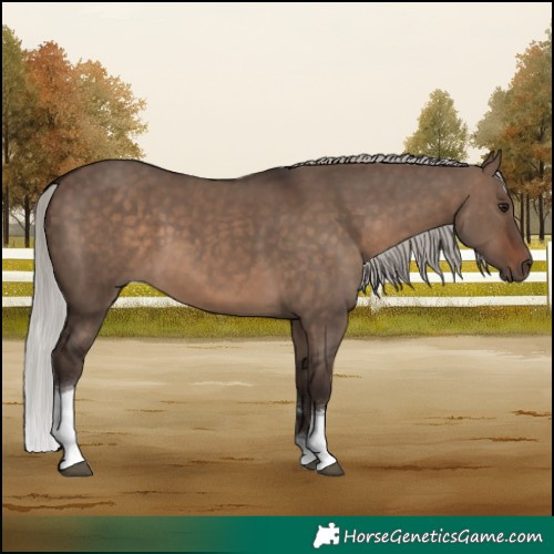 Horse Color:Silver Brown Dun Tobiano 