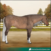 Horse Color:Silver Brown Dun Tobiano
