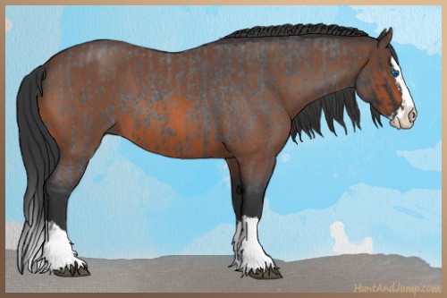 Horse Color:Blue Roan Sabino Splash  and Bay Roan Sabino Splash 