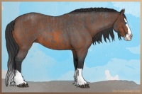 Horse Color:Blue Roan Sabino Splash  and Bay Roan Sabino Splash 