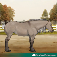 Horse Color:Silver Brown Dun