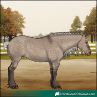 Horse Color:Silver Brown Dun 