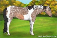 Horse Color:Bay Ice Tobiano 