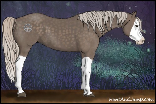 Horse Color:Silver Black Splash 